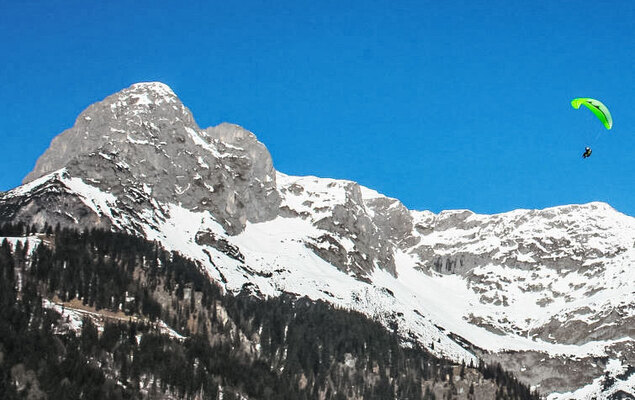 Edelweiss - Photo 15