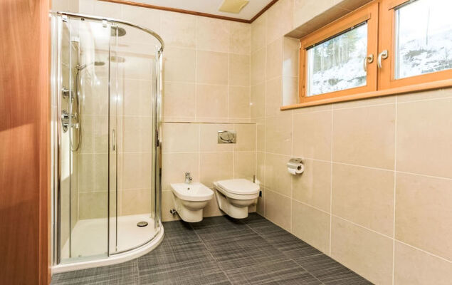 Panorama Dachstein - Photo 13