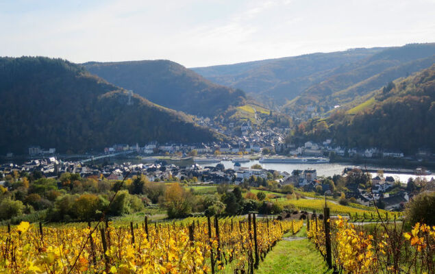 Appartement A12 - Photo 32