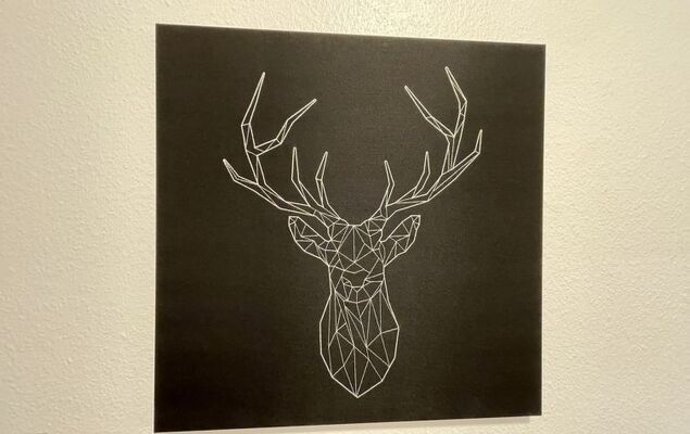 Schwarzwaldblick - Photo 15