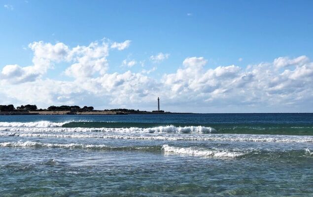 Gaia Giallo - Photo 38