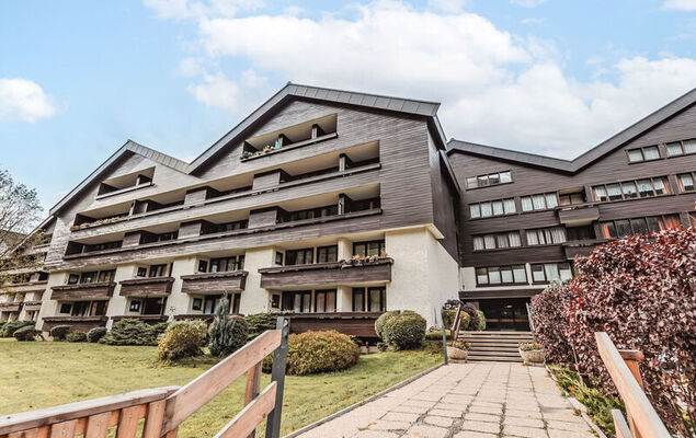 Morgensonne - Photo 19