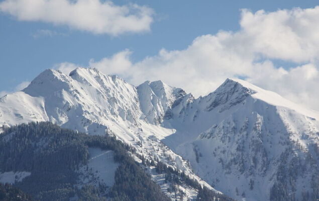 Morgensonne - Photo 22