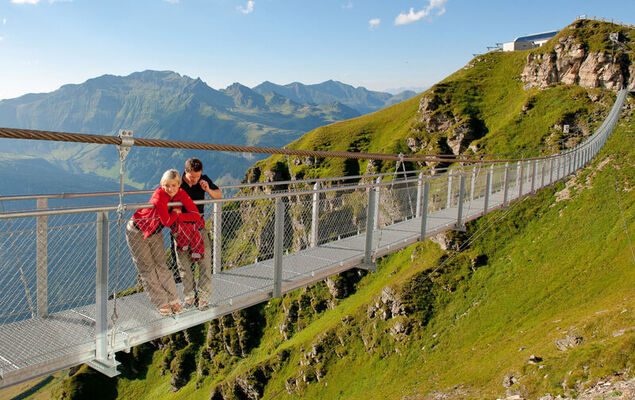 Morgensonne - Photo 25