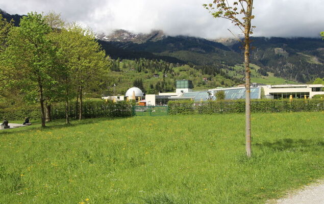 Morgensonne - Photo 26