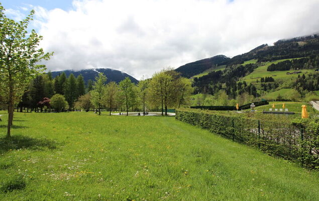 Morgensonne - Photo 27