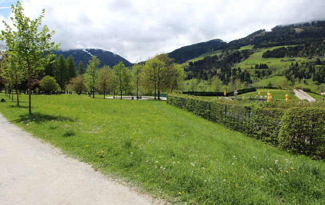 Morgensonne - Photo 28