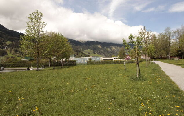 Morgensonne - Photo 29