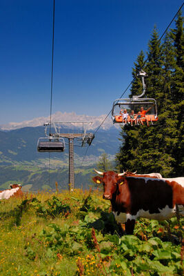 Dachstein Top 2 - Photo 29