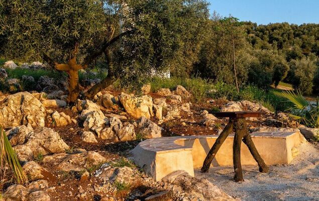 La Pedriza - Photo 23