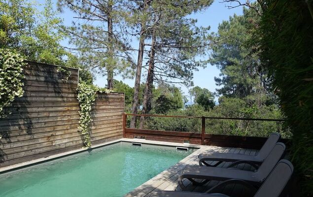 Les Jardins d'Ève, F3 - Photo 21