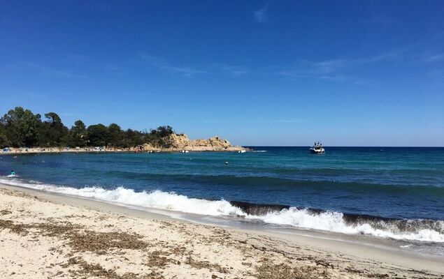 Les Jardins d'Ève, F3 - Photo 23